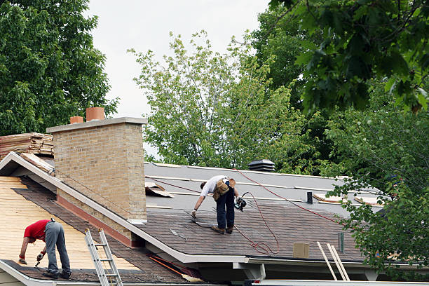 Best Roof Ventilation Installation  in Westland, MI